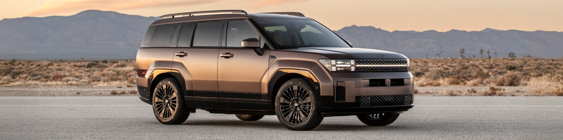 Hyundai Global Placeholder Banner