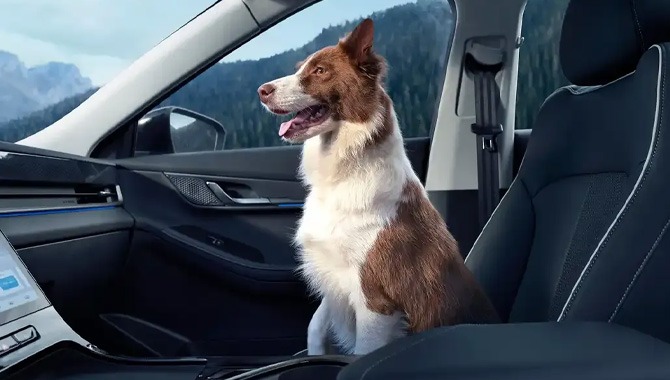 JAECOO E5 - Interior