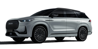 Jaceoo 8 - Anthracite Silver with Black Roof